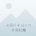 都市精灵全文